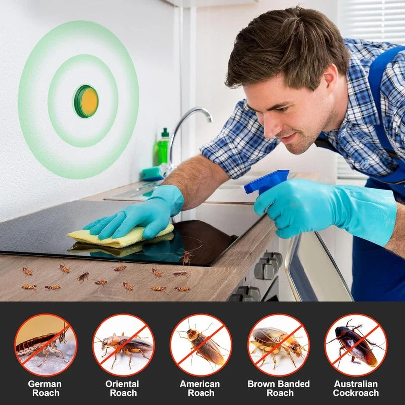Cockroach Killer Powder Gel (Buy 1 get 1 free)