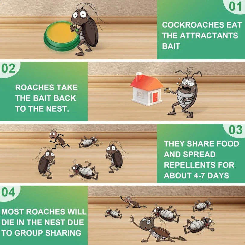 Cockroach Killer Powder Gel (Buy 1 get 1 free)